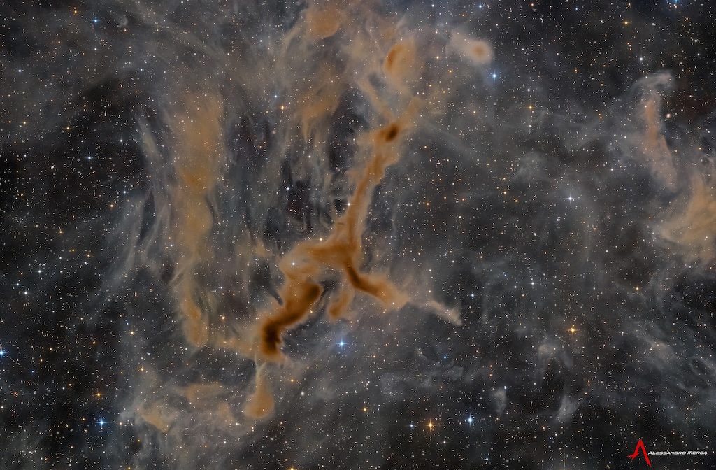 APOD/NASA LDN 1295: The Giraffe Nebula